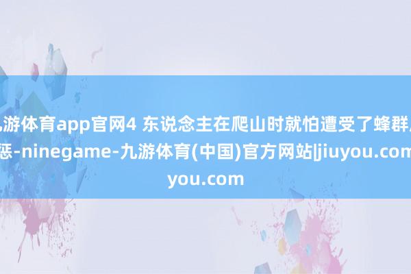 九游体育app官网4 东说念主在爬山时就怕遭受了蜂群膺惩-ninegame-九游体育(中国)官方网站|jiuyou.com