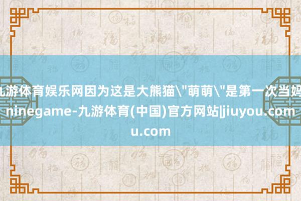 九游体育娱乐网因为这是大熊猫