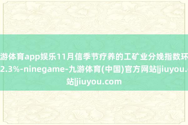 九游体育app娱乐11月信季节疗养的工矿业分娩指数环比下降2.3%-ninegame-九游体育(中国)官方网站|jiuyou.com