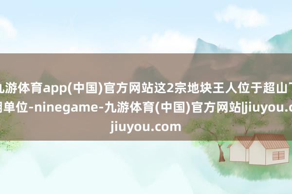 九游体育app(中国)官方网站这2宗地块王人位于超山丁山湖单位-ninegame-九游体育(中国)官方网站|jiuyou.com