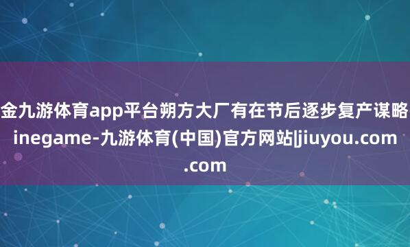 现金九游体育app平台朔方大厂有在节后逐步复产谋略-ninegame-九游体育(中国)官方网站|jiuyou.com