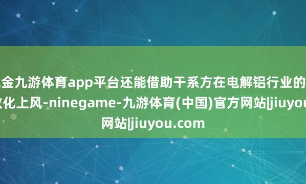 现金九游体育app平台还能借助干系方在电解铝行业的资源和教化上风-ninegame-九游体育(中国)官方网站|jiuyou.com